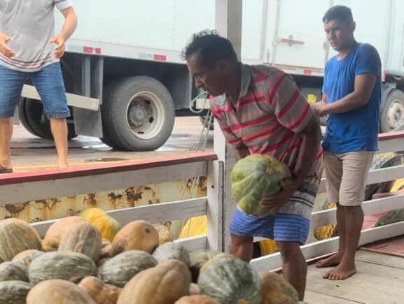 Balcão de Agronegócios: Governo do Amazonas facilita escoamento de 9 toneladas de jerimum e 6 toneladas de macaxeira