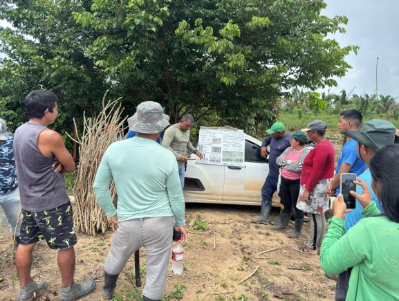 Idam inicia implantação de três Unidades Demonstrativas (UD) de mandioca no interior do Amazonas