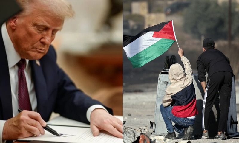 Trump retira EUA do Conselho de Direitos Humanos da ONU e suspende financiamento para refugiados da Palestina