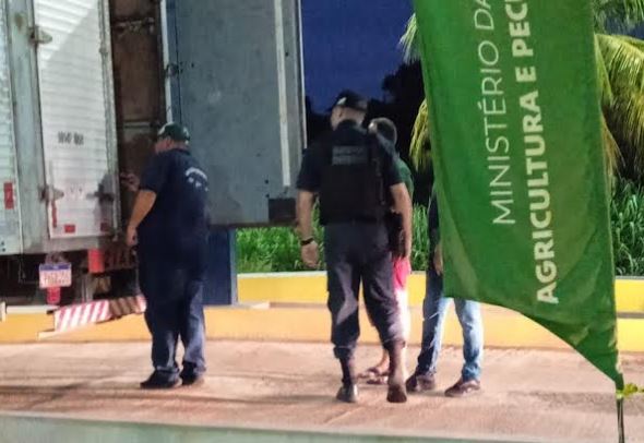 Carga de pimenta-de-cheiro é proibida de entrar no AM devido ao risco da mosca-da-carambola