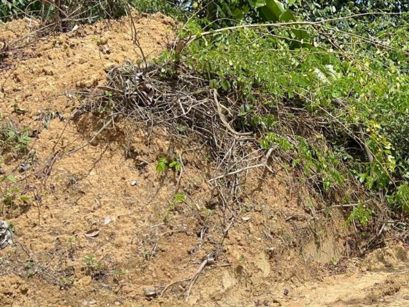 Corpo de homem “enroladinho no saco” estava sem a cabeça em ramal de Manaus