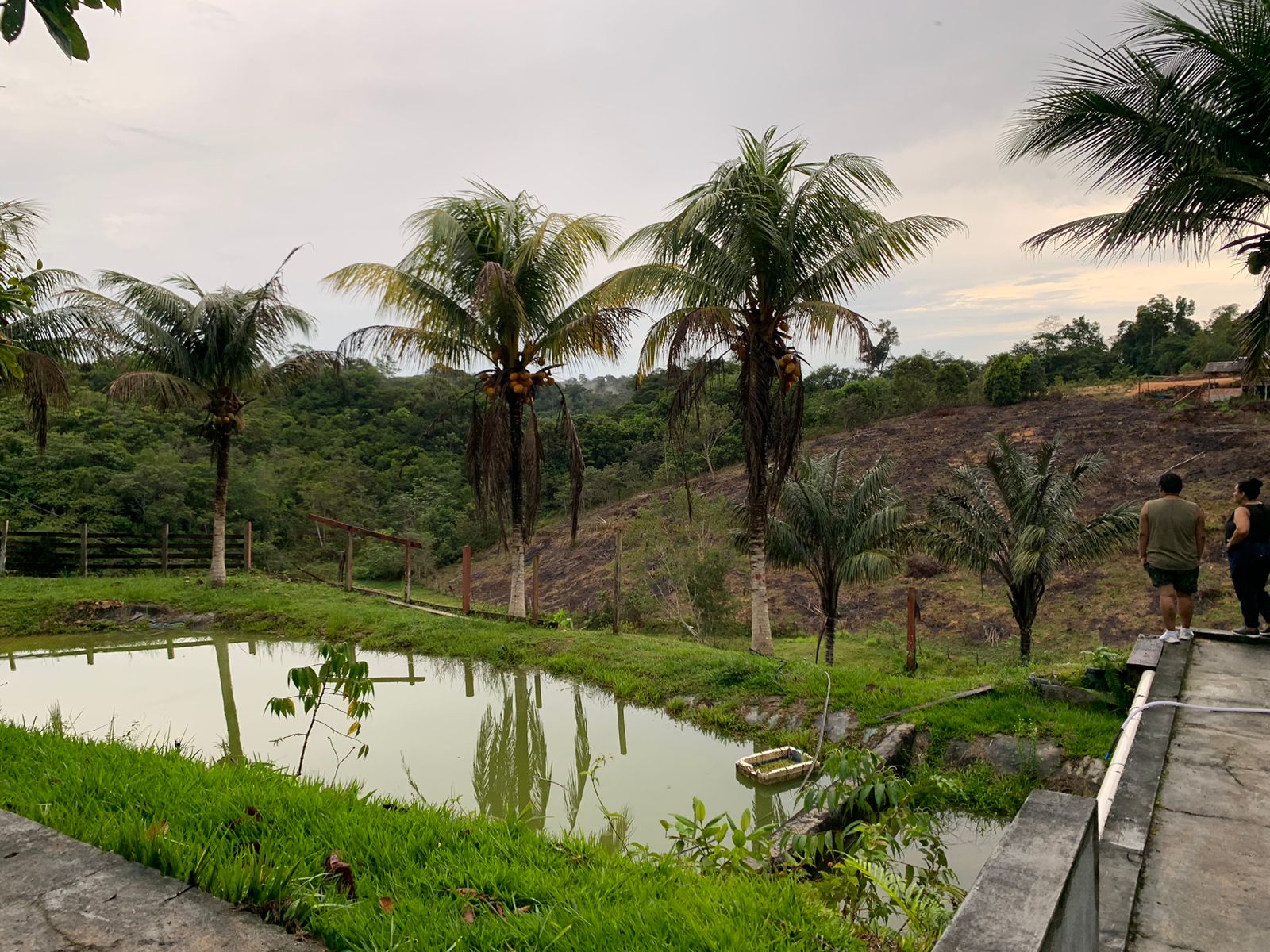 Negócios de impacto impulsionam a economia na Amazônia Legal