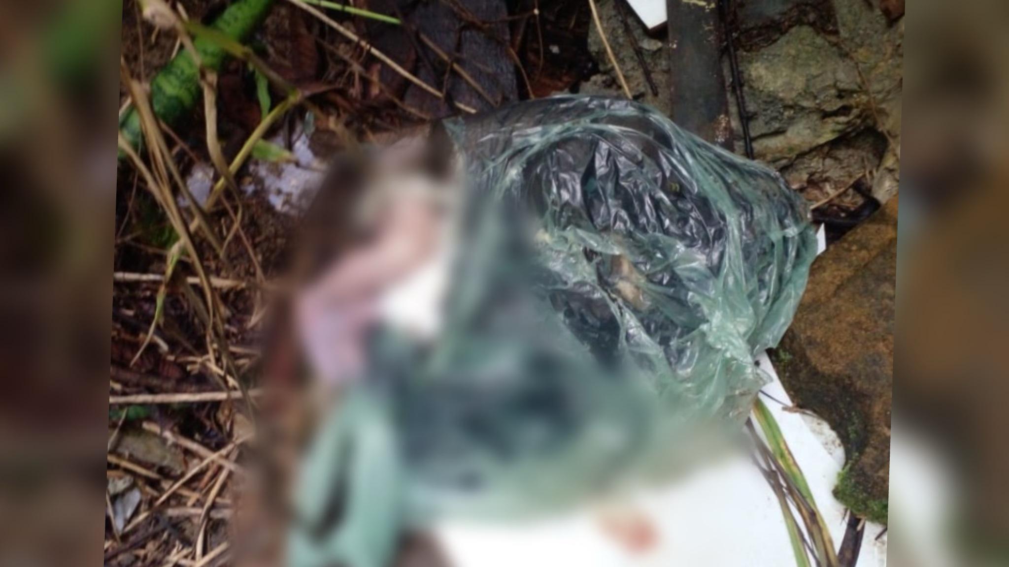 Recém-nascida é encontrada morta dentro de saco plástica em Manaus