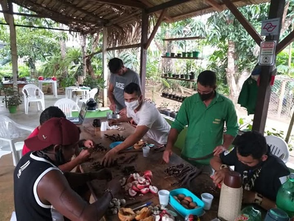 UFAM promove curso sobre manejo e coleta de sementes na Amazônia