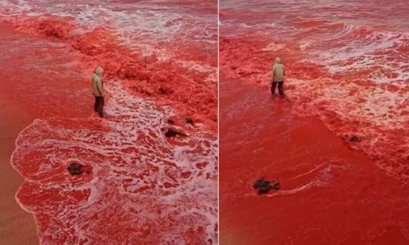 fenômeno impressionante pinta oceano de vermelho
