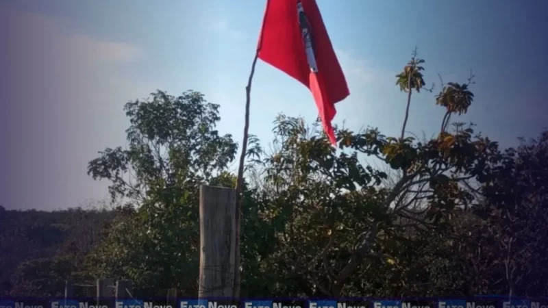 Área ocupada por soja cresceu 185 vezes em região de conflito agrário no Tocantins