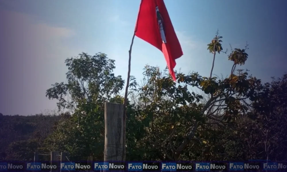 Área ocupada por soja cresceu 185 vezes em região de conflito agrário no Tocantins