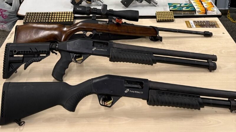 Arsenal de armas é apreendido após denúncia de violência doméstica na zona Norte
