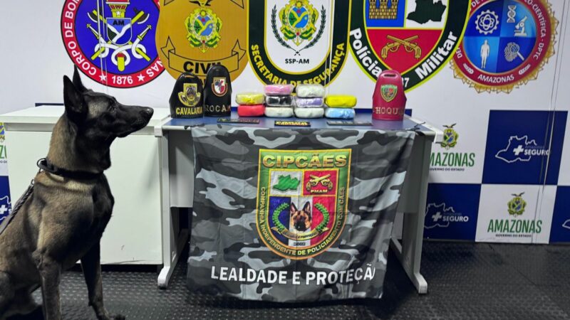 Cão policial encontra 14 kg de drogas escondidos em malas dentro de lancha no AM