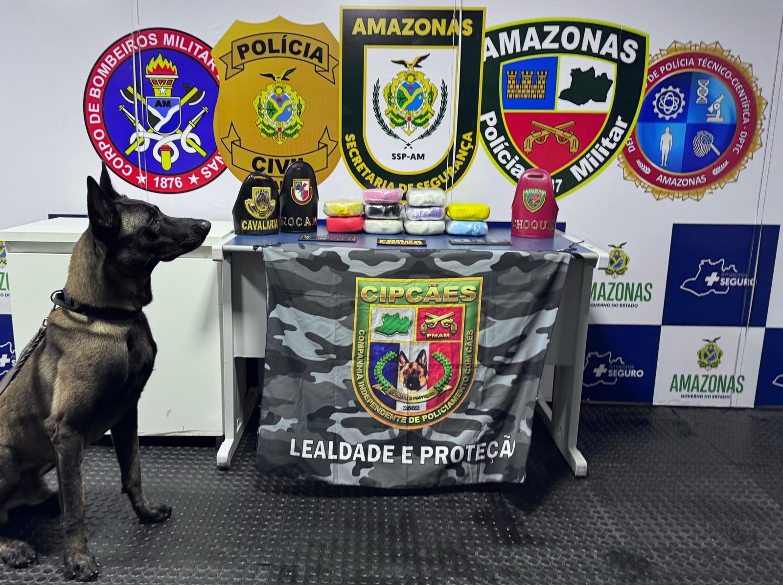 Cão policial encontra 14 kg de drogas escondidos em malas dentro de lancha no AM