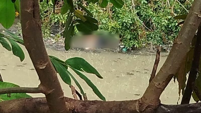 Corpo de homem é encontrado em igarapé de Manaus