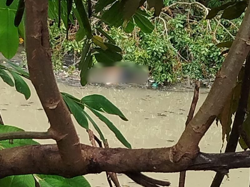 Corpo de homem é encontrado em igarapé de Manaus