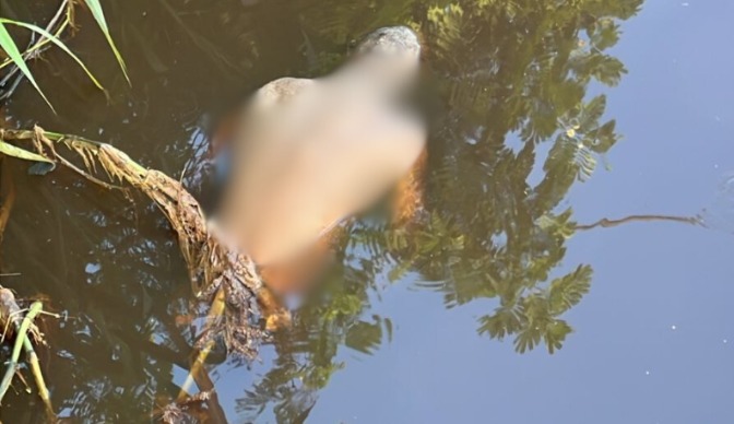 Corpo é encontrado boiando em igarapé em Manaus