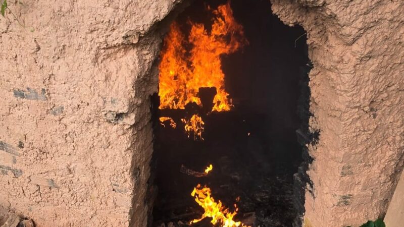 Drogas avaliadas em meio milhão de reais são incineradas no AM