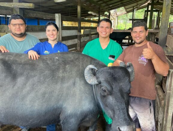 Em Itacoatiara, Idam acompanha início das atividades do Programa Mais Pecuária Brasil