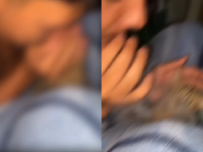 Jovem assopra fumaça de maconha no focinho de gato e gera revolta