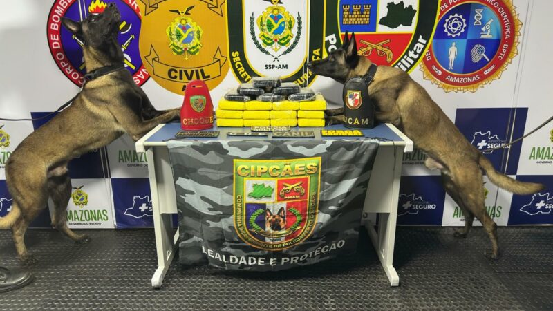 Mais de R$ 1,3 milhão em drogas são apreendidas no Amazonas