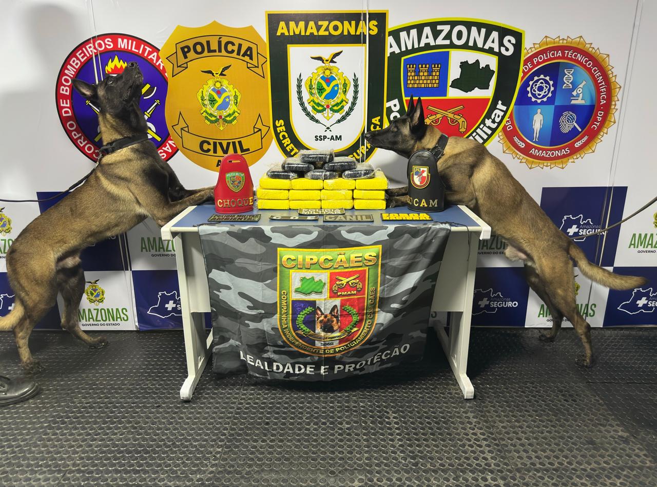 Mais de R$ 1,3 milhão em drogas são apreendidas no Amazonas