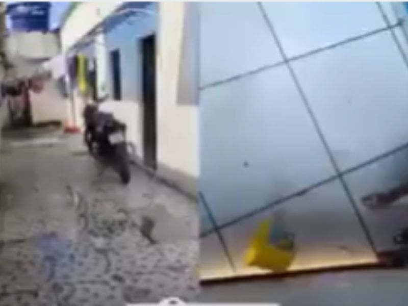 Moradores registram cachorro sofrendo agressões em Manaus