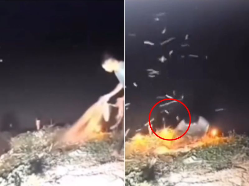 Vídeo assustador mostra pescador sendo atacado por ‘Nego d’Água’ no Amazonas