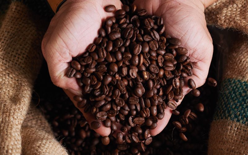 Brasil prevê colheita de 55,7 milhões de sacas de café em 2025
