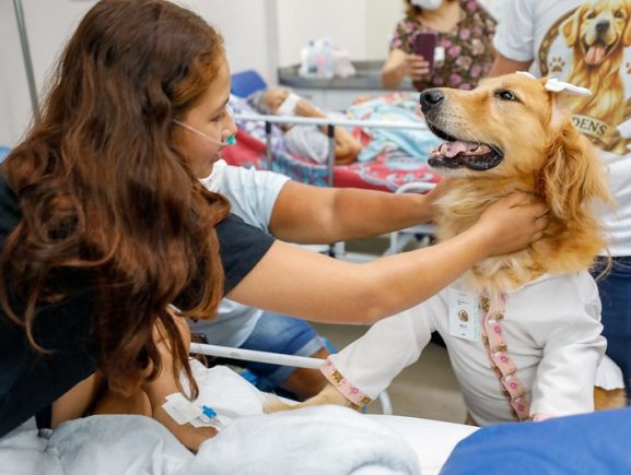 Cães terapeutas levam alegria e contribuem para a recuperação de pacientes no Complexo Hospitalar Sul