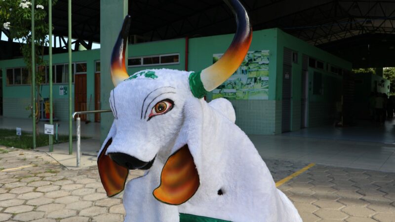 FUnATI aproxima idosos da cultura regional com escolha do nome do boi-bumbá da instituição