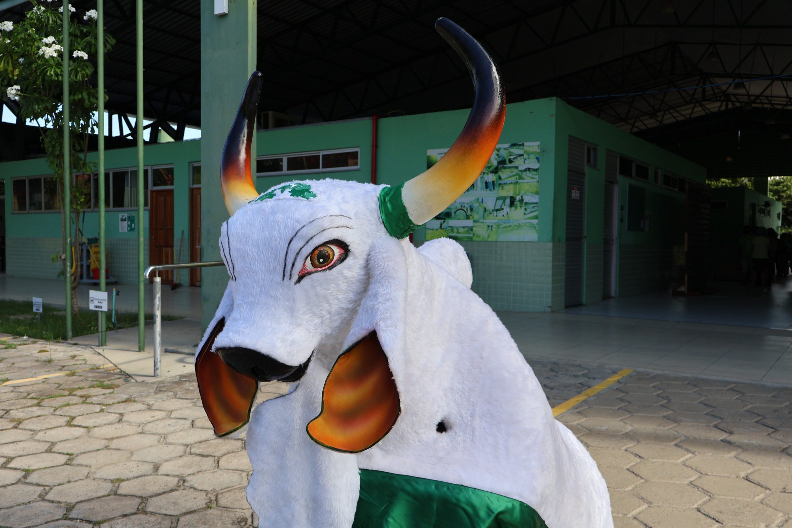 FUnATI aproxima idosos da cultura regional com escolha do nome do boi-bumbá da instituição