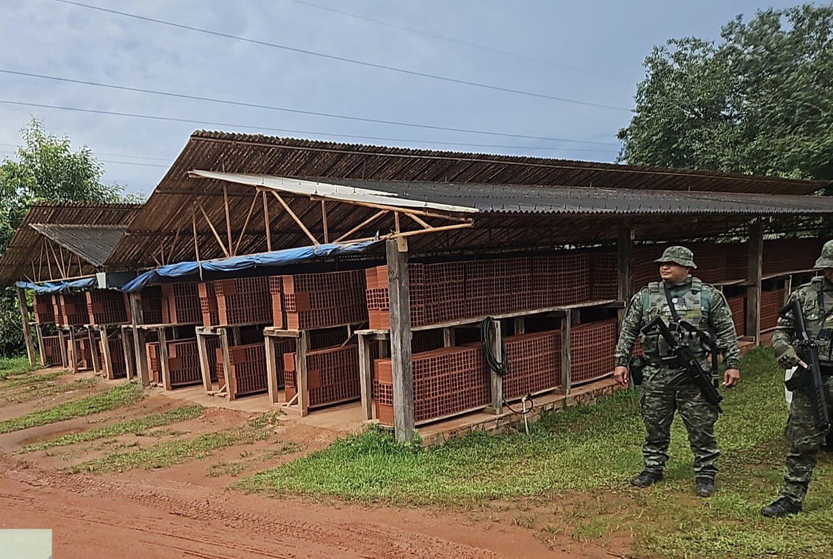 Ipaam e Batalhão Ambiental embargam três indústrias de cerâmicas ilegais na Rodovia AM-070