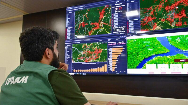 Ipaam registra queda de 16,65% no desmatamento e 72,72% nos focos de calor no Amazonas