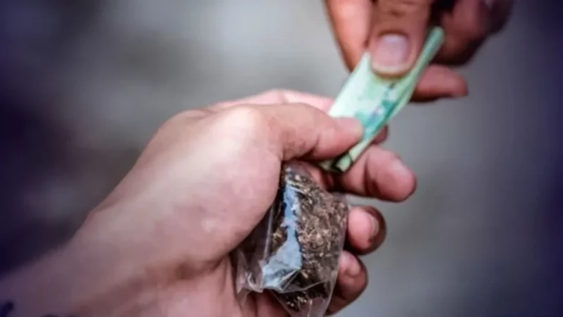 Prisão em flagrante de autuado por tráfico de drogas é convertida em preventiva