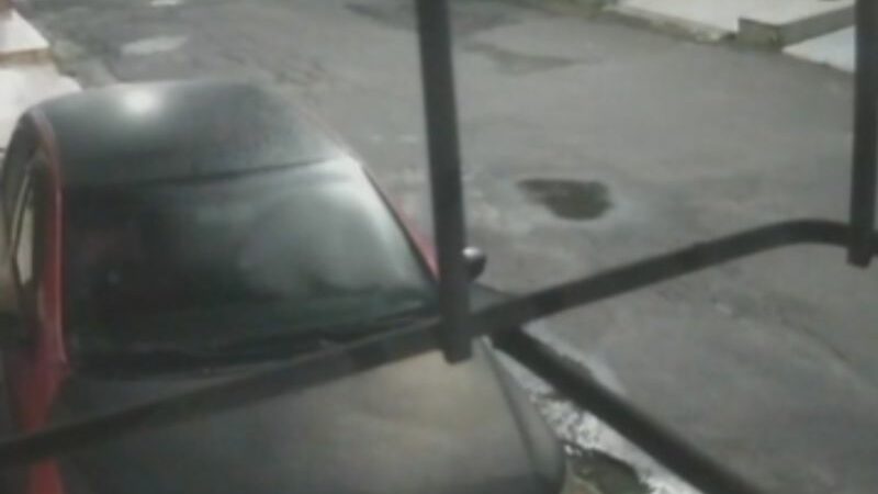 Veja momento que pitbulls matam em rua de Manaus