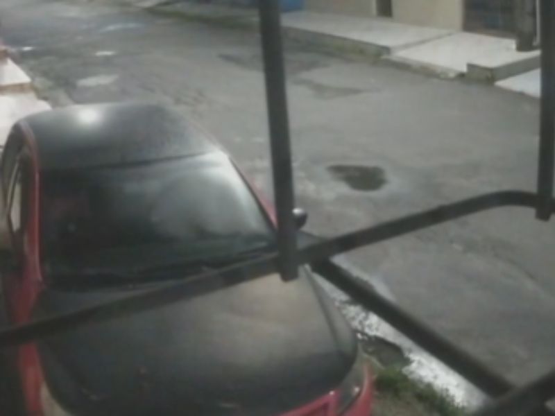 Veja momento que pitbulls matam em rua de Manaus