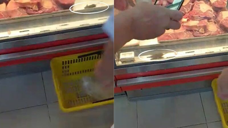 Rato é flagrado disputando carnes com clientes em supermercado de Manaus
