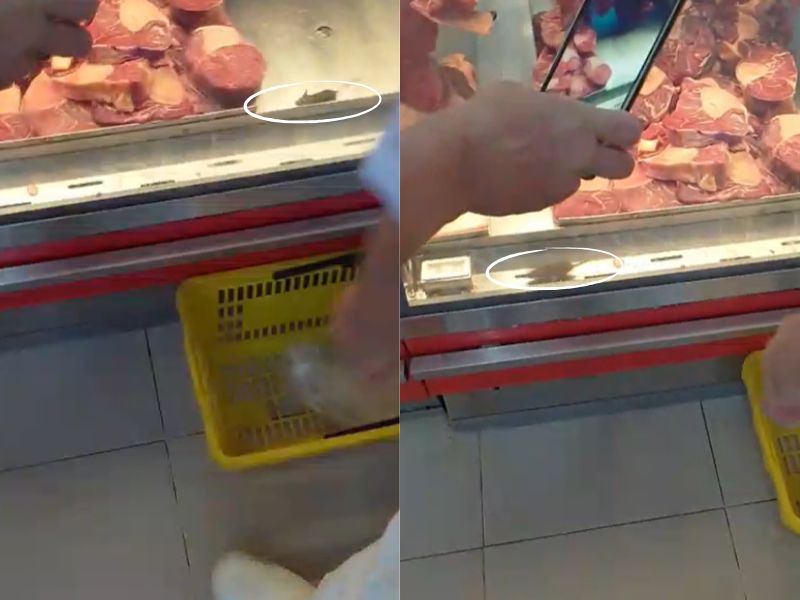 Rato é flagrado disputando carnes com clientes em supermercado de Manaus