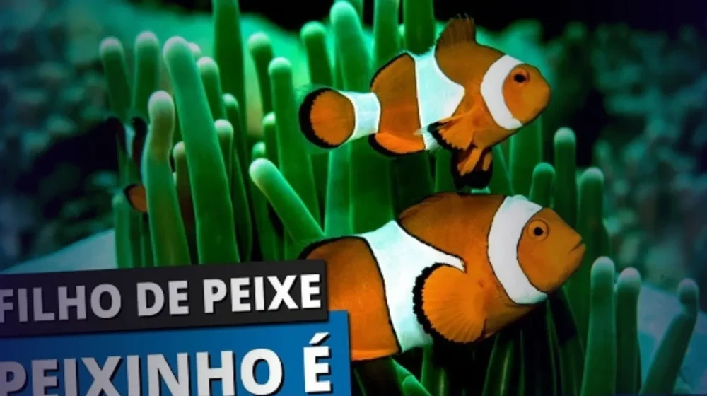 Será que a ciência concorda com eles?