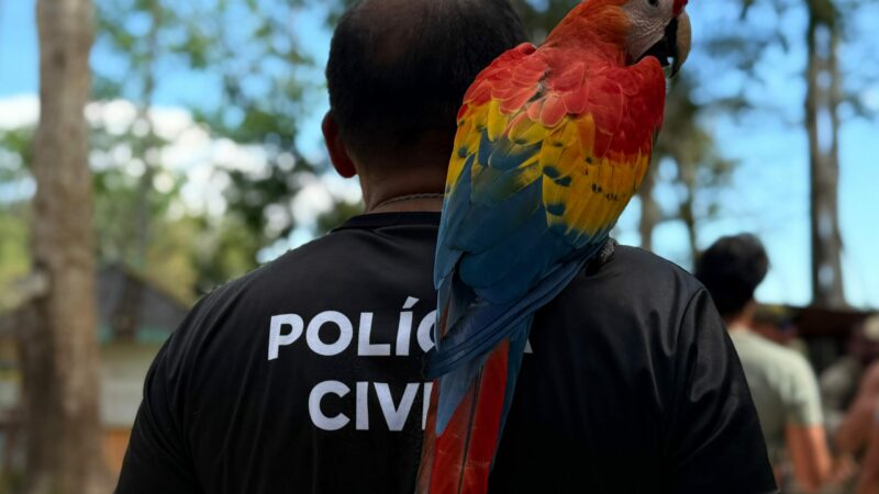 Dia Mundial do Meio Ambiente: Polícia Civil atua no combate aos maus-tratos animais e a preservação ambiental