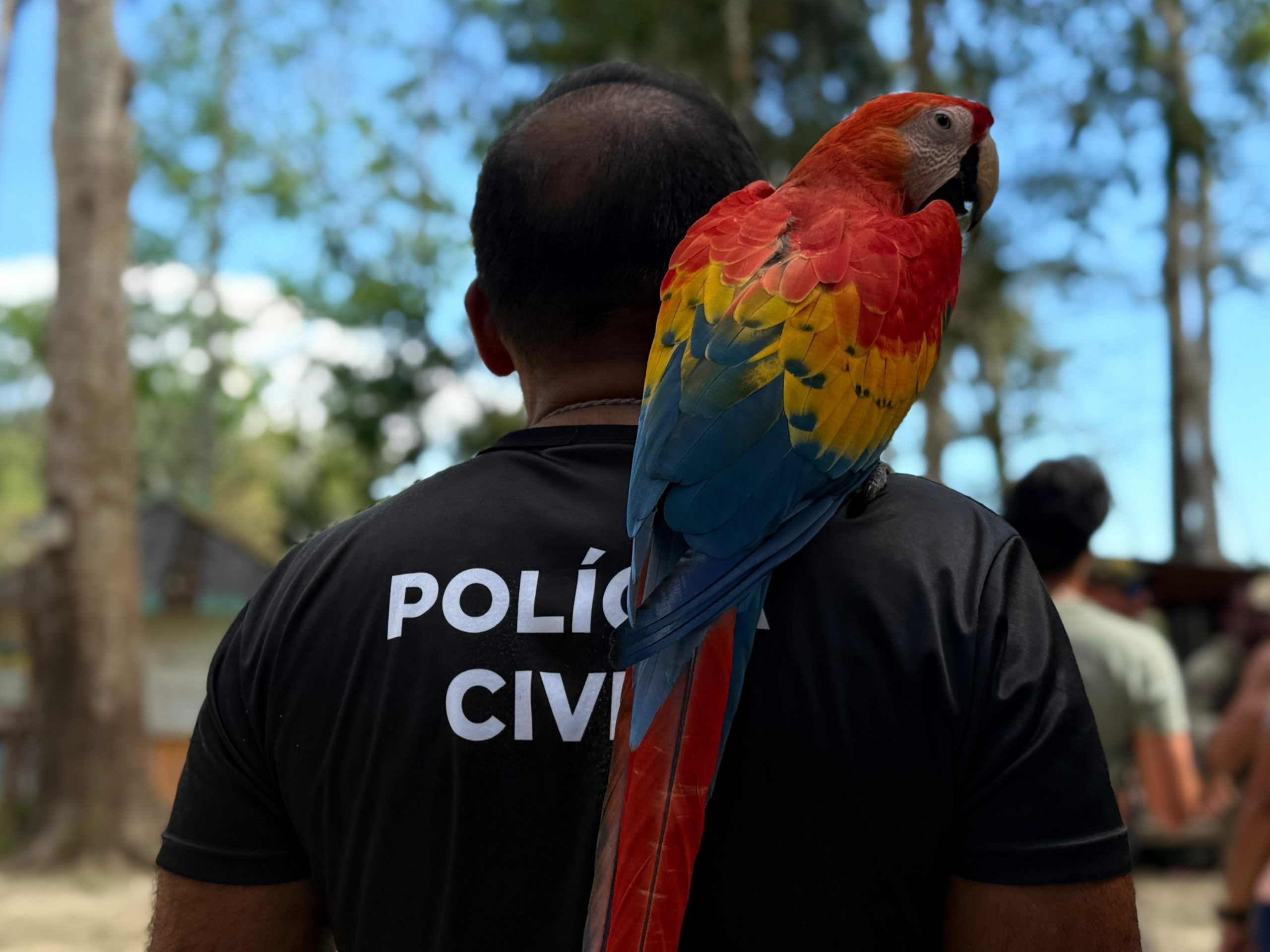 Dia Mundial do Meio Ambiente: Polícia Civil atua no combate aos maus-tratos animais e a preservação ambiental