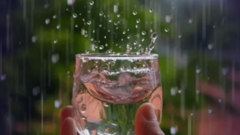 Por que é perigoso beber água da chuva?