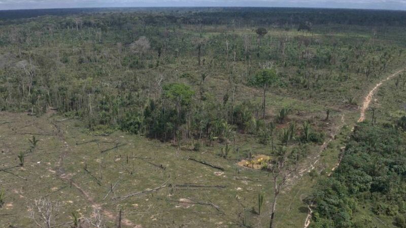 Responsável por desmatar 540 hectares no AM é multado em R$ 5,4 mi