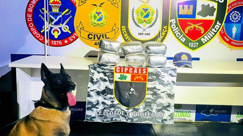 Base Arpão 3: Em duas ações distintas, PMAM apreende mais de 26 quilos de drogas em embarcações