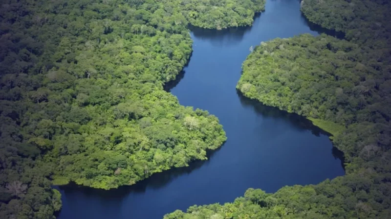 Justiça suspende projeto de carbono no Amazonas por ausência de consulta prévia a povos tradicionais