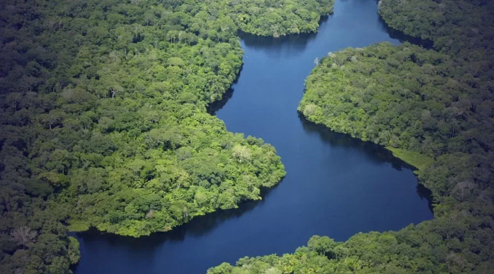 Justiça suspende projeto de carbono no Amazonas por ausência de consulta prévia a povos tradicionais
