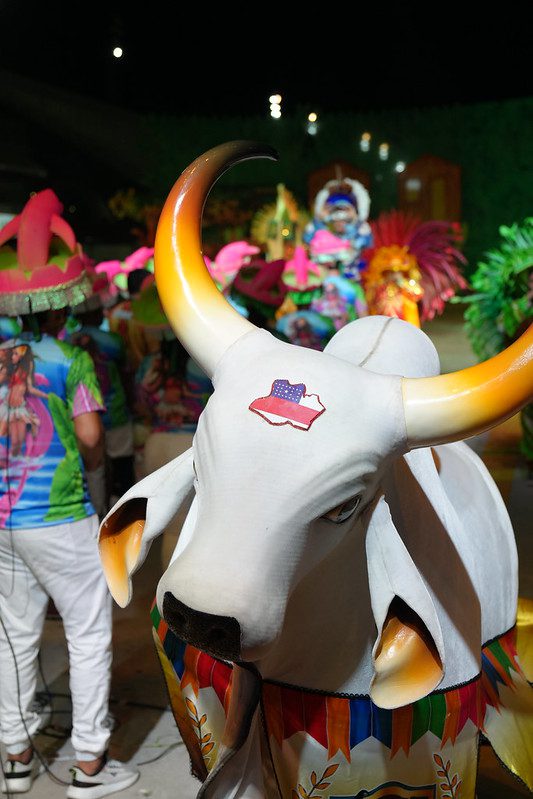 Festival Folclórico do Amazonas encerra penúltima noite com apresentações de bois-bumbás no Sambódromo