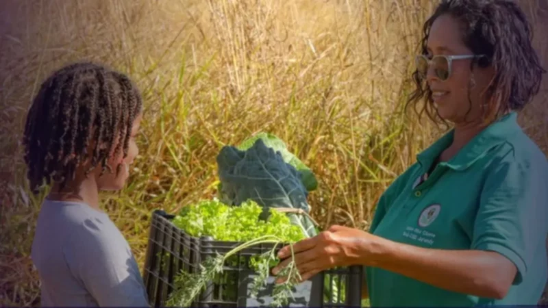 Prêmio Brasil Sem Fome tem inscrições prorrogadas até 11 de agosto