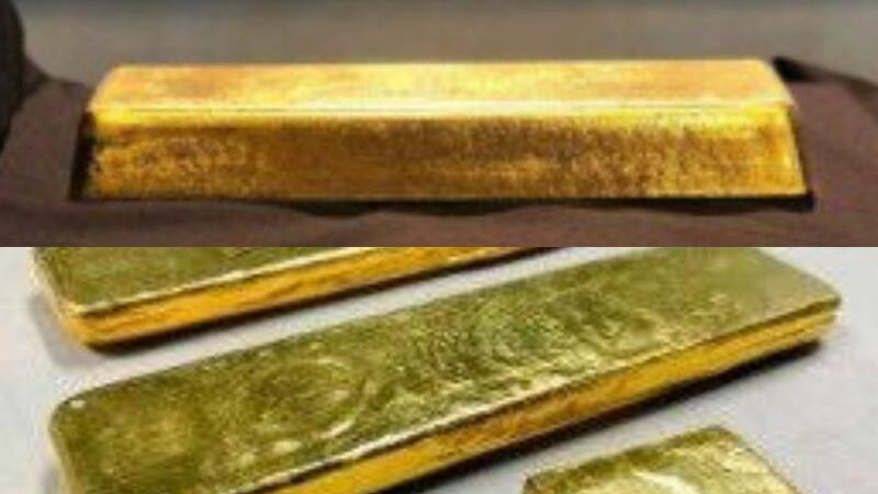 Bens apreendidos Vão a Leilão Online em Ação da PF-AM