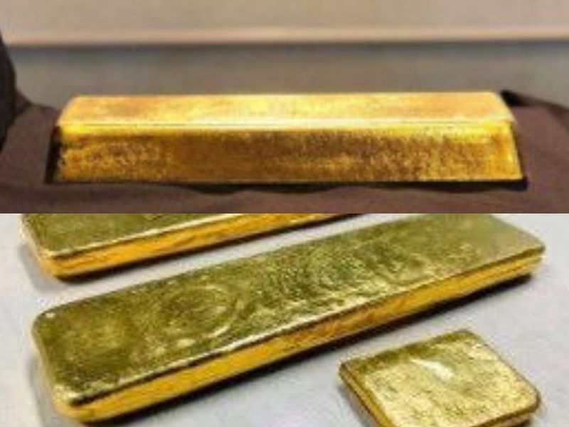 Bens apreendidos Vão a Leilão Online em Ação da PF-AM