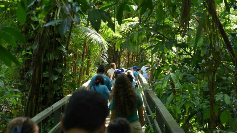 Ipaam recebe estudantes no Bosque Vandete Rocha e abre agenda de visitação para escolas e universidades