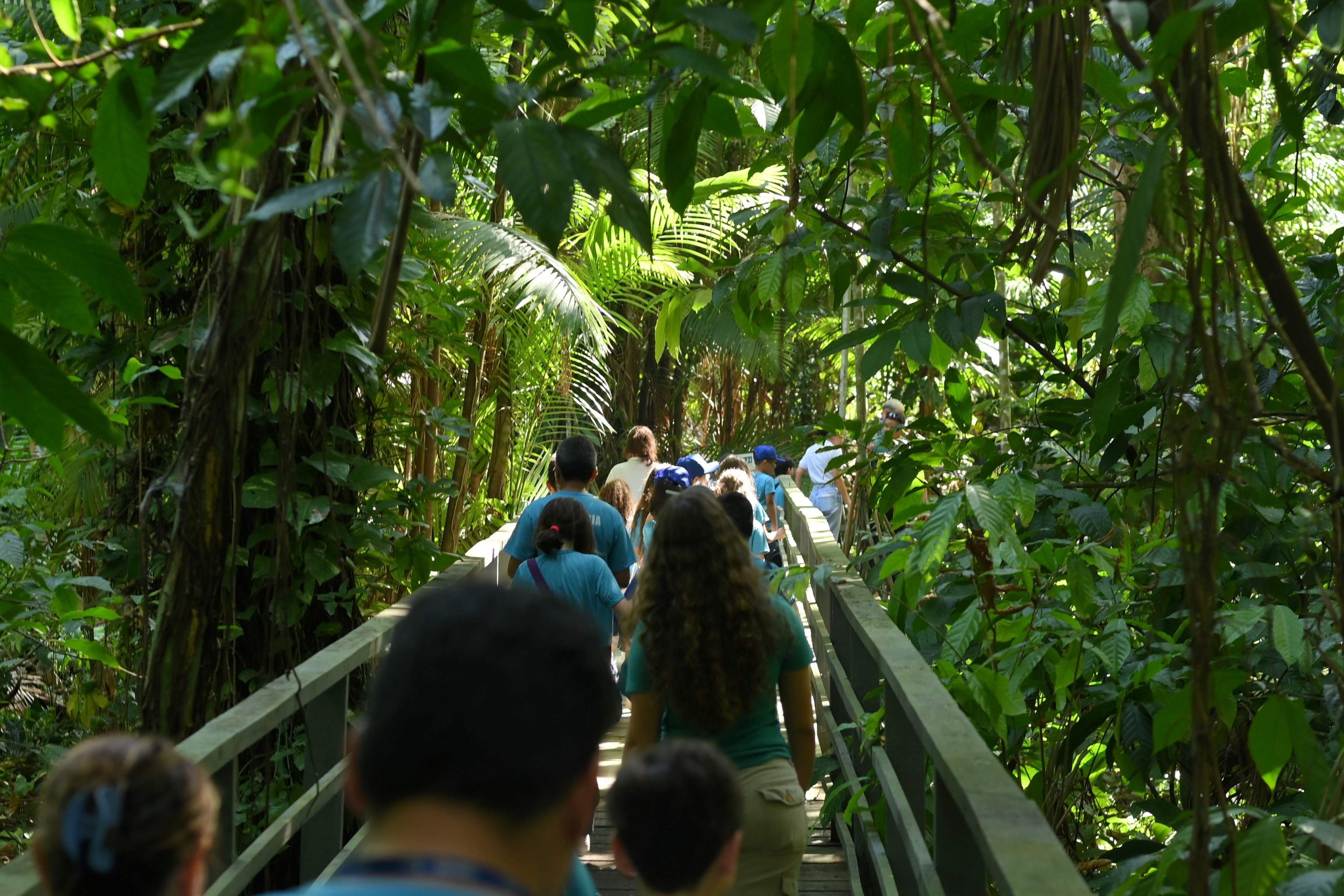 Ipaam recebe estudantes no Bosque Vandete Rocha e abre agenda de visitação para escolas e universidades