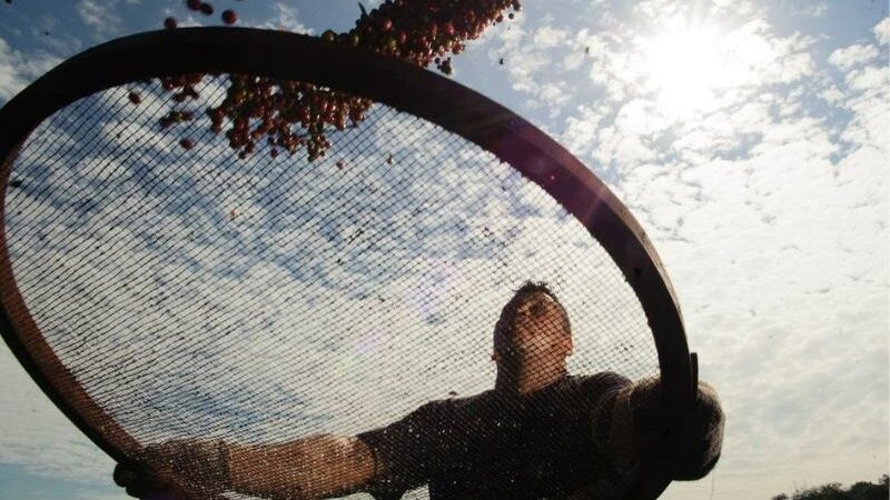 Lula autoriza reciprocidade para ‘fazer andar’ reação a tarifaço